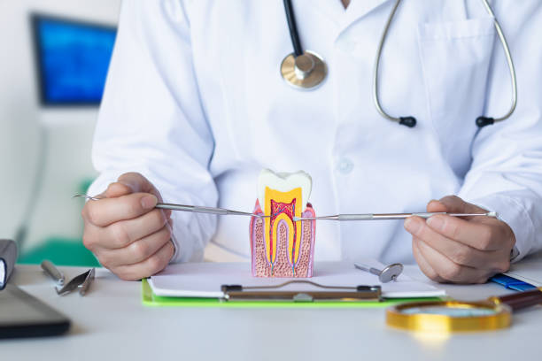 Best Knocked-Out Tooth Emergency  in Preston, ID